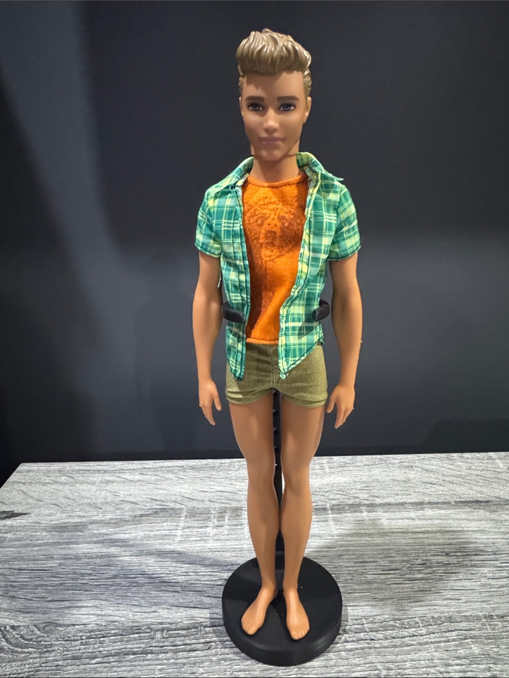 Mattel | Barbie: Camping Fun Ken (2015) - Collectible Toy Fashion Doll